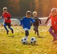 体育界多组,织呼吁延后,东京奥运,金宝博188bet体育官方,金宝博188bet体育在线官网,金宝博188bet体育线上,金宝博188bet体育APP