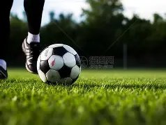 体育界多组,织呼吁延后,东京奥运,金宝博188bet体育官方,金宝博188bet体育在线官网,金宝博188bet体育线上,金宝博188bet体育APP