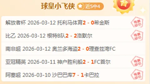 第九届亚冬会纪念邮票成功发布